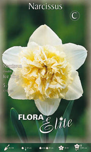 Bulbi di Narciso Double Ice King 5 Bulbi - immagine 1
