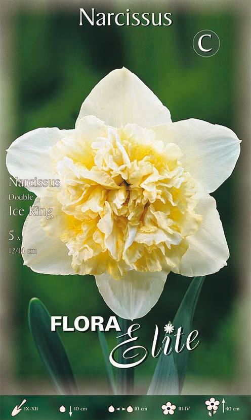Bulbi di Narciso Double Ice King 5 Bulbi - immagine 1