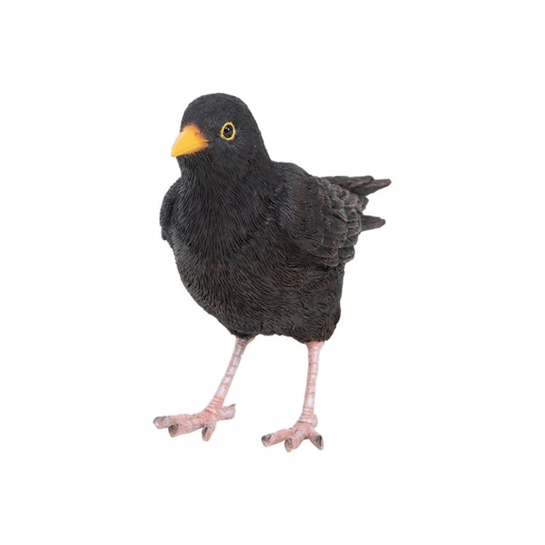 Statuetta Decorativa Merlo Nero in Poliresina