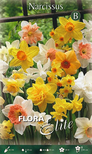 Mix Bulbi di Narciso 5 Bulbi - immagine 1