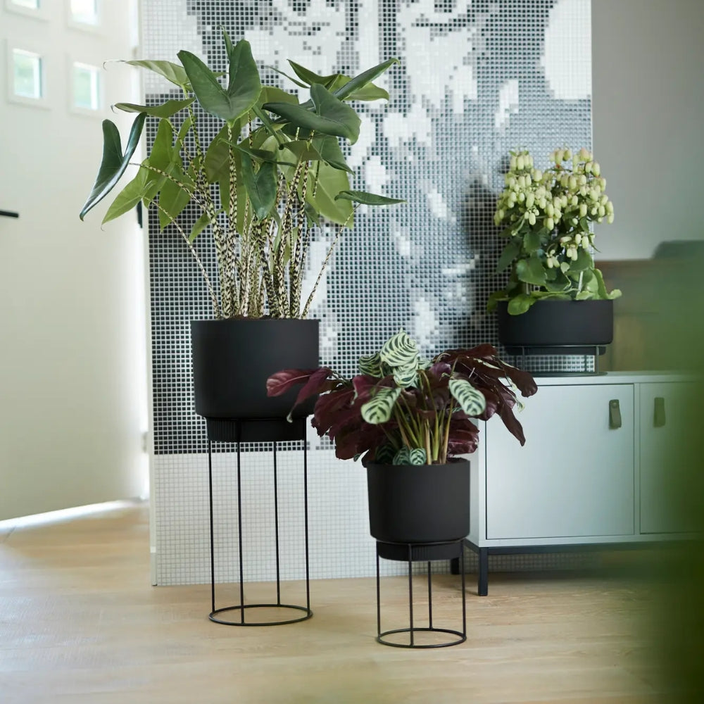 FIORIERA RIALZATA B.FOR STUDIO ROUND 22CM LIVING BLACK