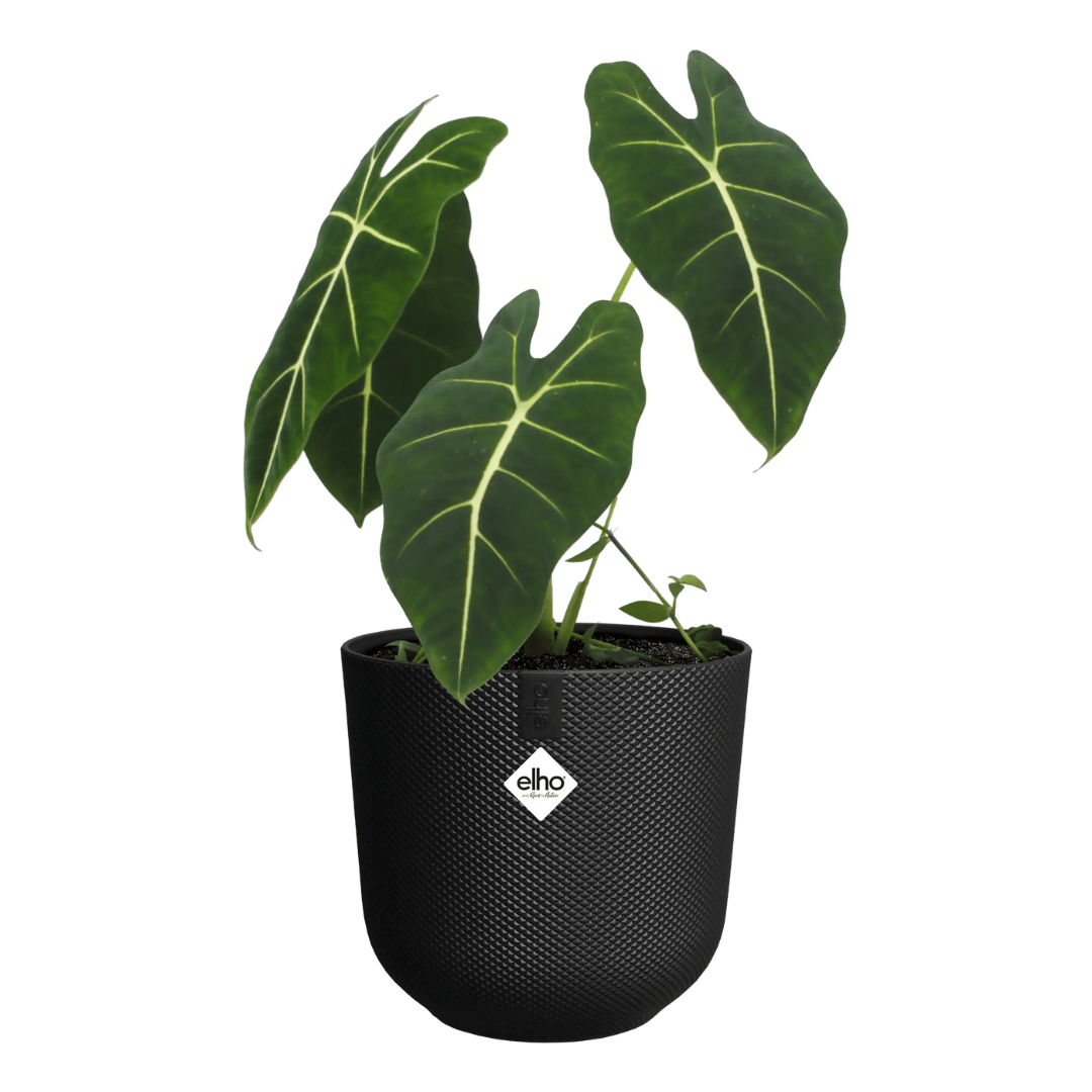 VASO JAZZ ROUND 16CM LIVING BLACK