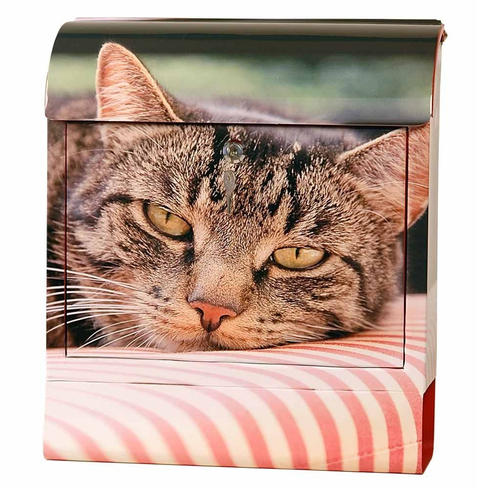 CASSETTA DELLA POSTA SONORA DECORATA GATTO 45X38X12 CM