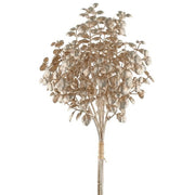 MAZZO EUCALIPTO 3,29CM CHAMPAGNE