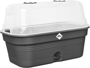 FIORIERA MINI-SERRA COPERTA GREEN BASICS GROW TRAY ALLIN1 L LIVING BLACK
