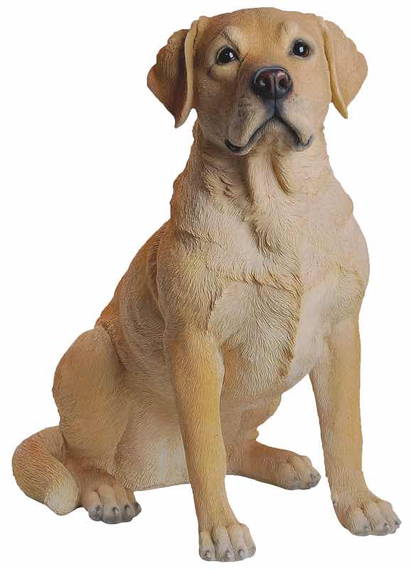 LABRADOR 54 CM