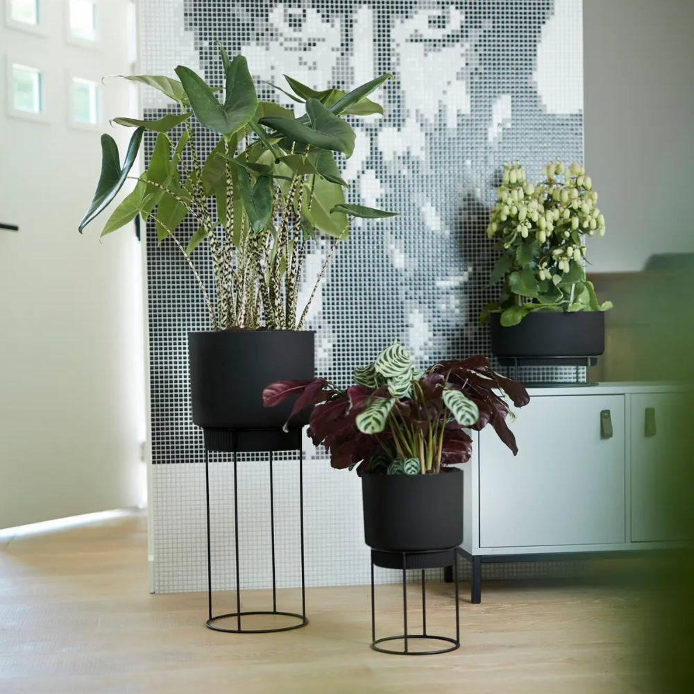 FIORIERA RIALZATA B.FOR STUDIO BOWL 30CM LIVING BLACK