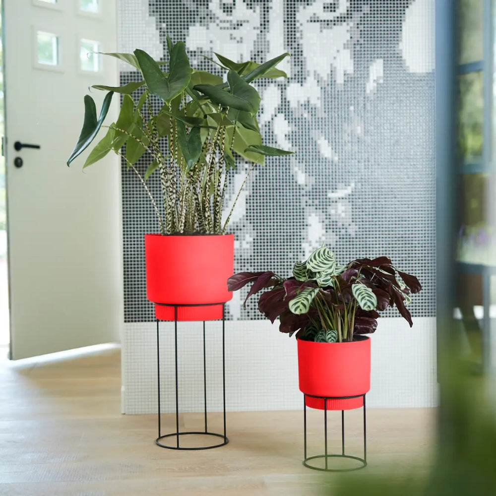 FIORIERA RIALZATA B.FOR STUDIO ROUND 22CM BRILLIANT RED