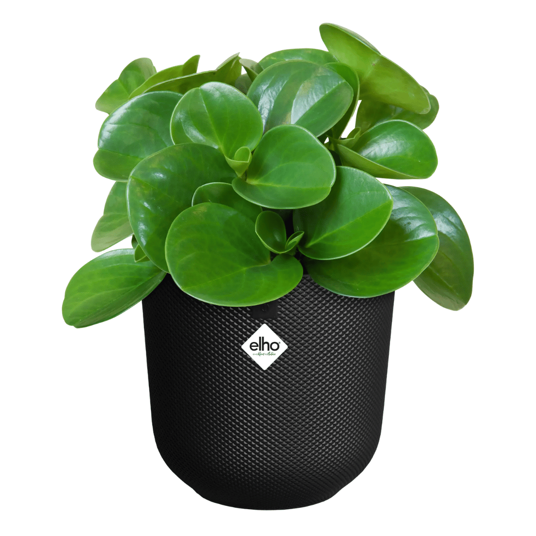 VASO JAZZ ROUND 26CM LIVING BLACK