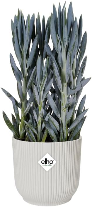 VASO VIBES FOLD ROUND WHEELS 35CM SILKY WHITE