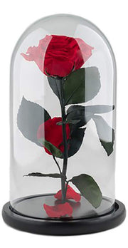 ROSA INCANTATA STABILIZZATA PROFUMATA H30CM ROSSA CON BASE IN LEGNO