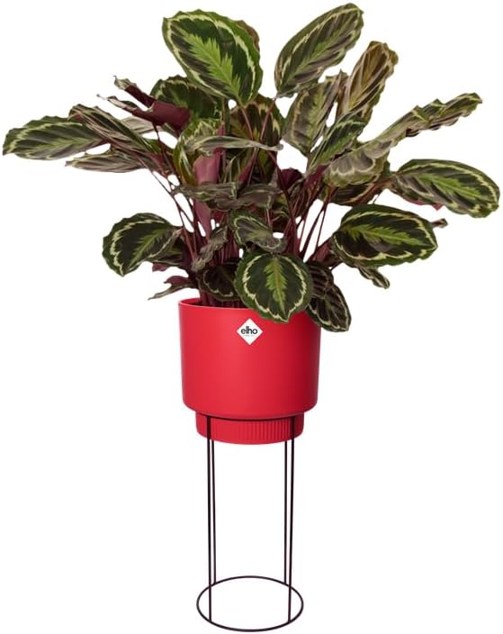 FIORIERA RIALZATA B.FOR STUDIO ROUND 30CM BRILLIANT RED