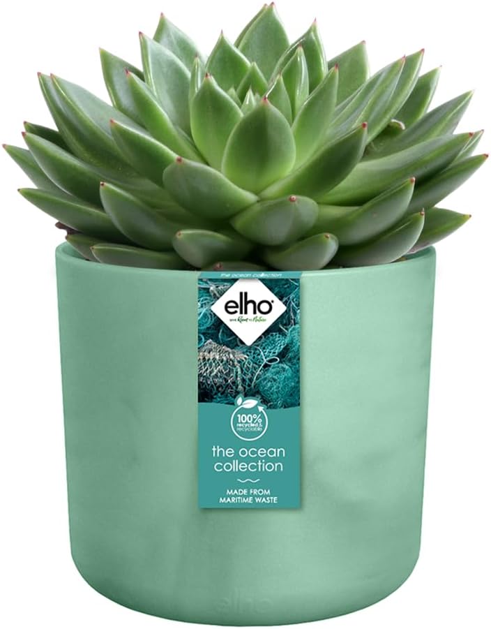 VASO THE OCEAN COLLECTION ROUND 14CM VERDE PACIFICO