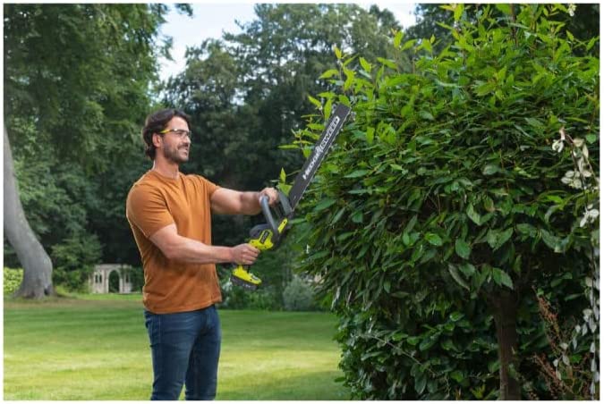 TAGLIASIEPI 18V (1X 2.0AH), LAMA 45CM A BATTERIA