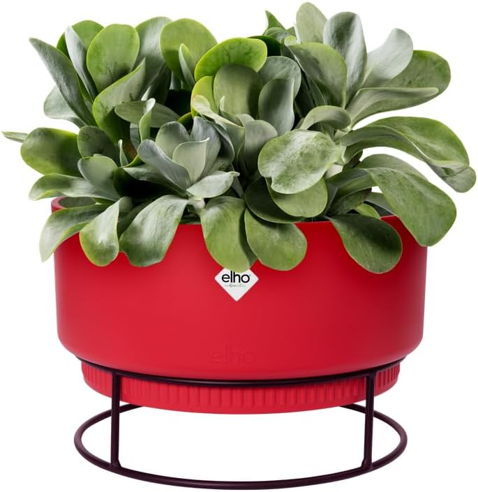 FIORIERA RIALZATA B.FOR STUDIO BOWL 30CM BRILLIANT RED