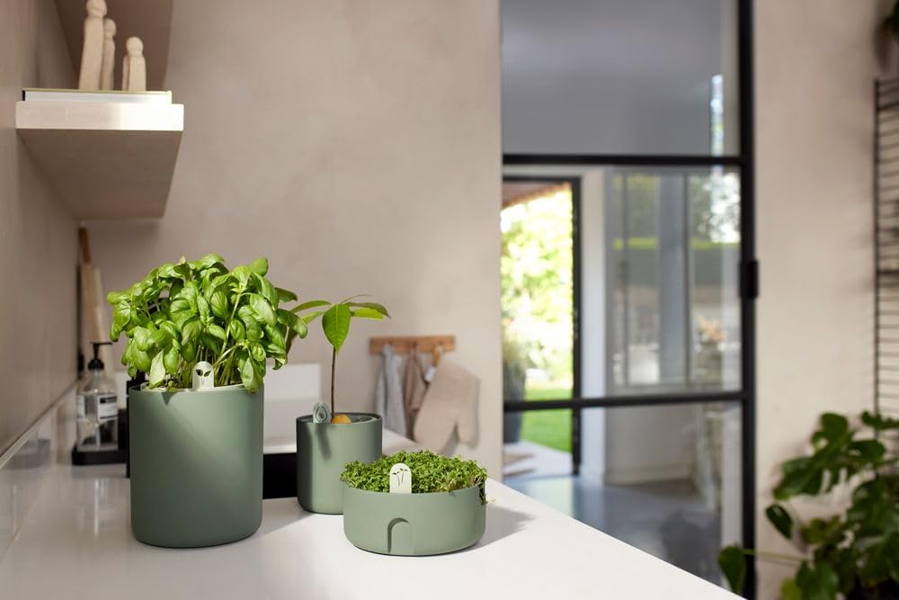 VASO BOUNCY BASIL LEAF GREEN