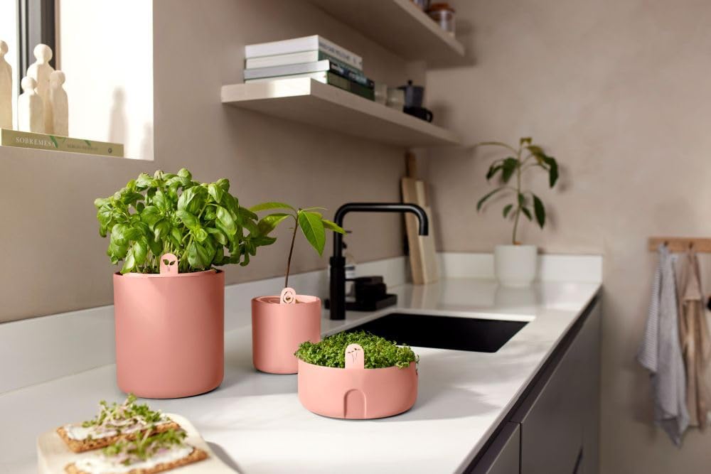 VASO BOUNCY BASIL MOU TERRA