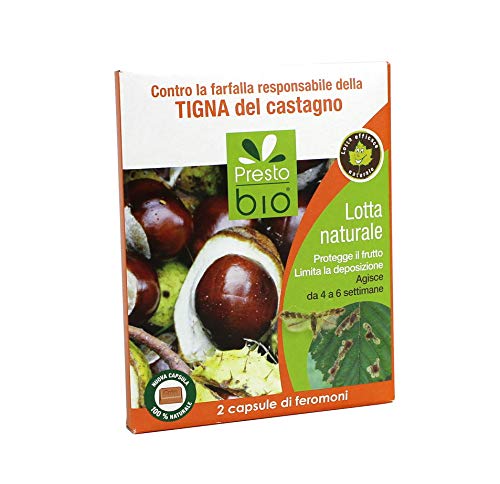 FEROMONI CONTRO LA MINATRICE DEL CASTAGNO