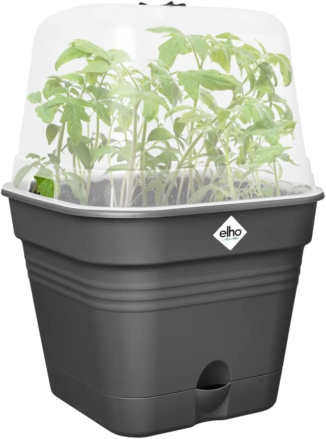 VASO DA COLTURA GREEN BASICS GROWPOT SQUARE ALLIN1 25CM LIVING BLACK