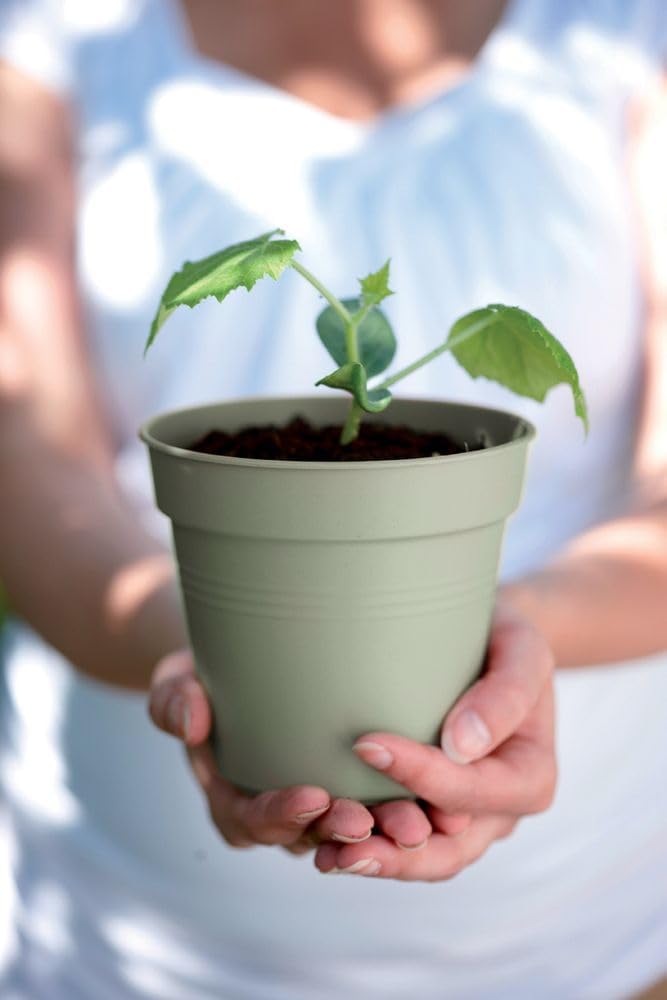 VASO GREEN BASICS GROWPOT 24CM VERDE PIETRA