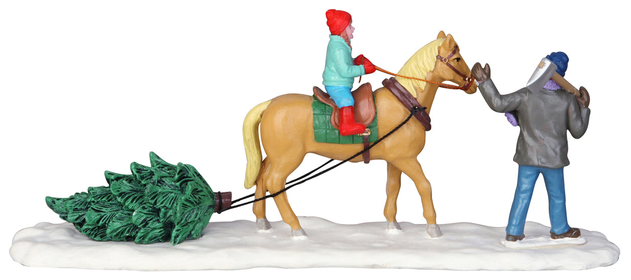 NATALE A CAVALLO - CHRISTMAS ON HORSEBACK