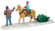 NATALE A CAVALLO - CHRISTMAS ON HORSEBACK