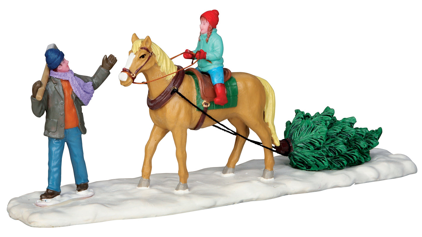 NATALE A CAVALLO - CHRISTMAS ON HORSEBACK