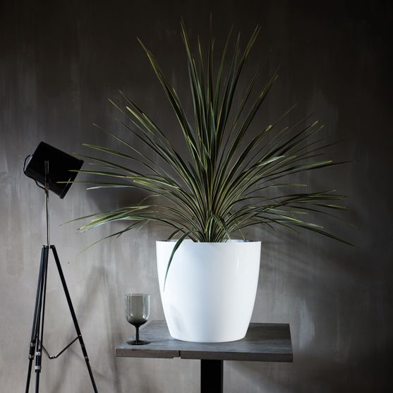 VASO BRUSSELS ROUND ALLIN1 25CM COLORE A SCELTA