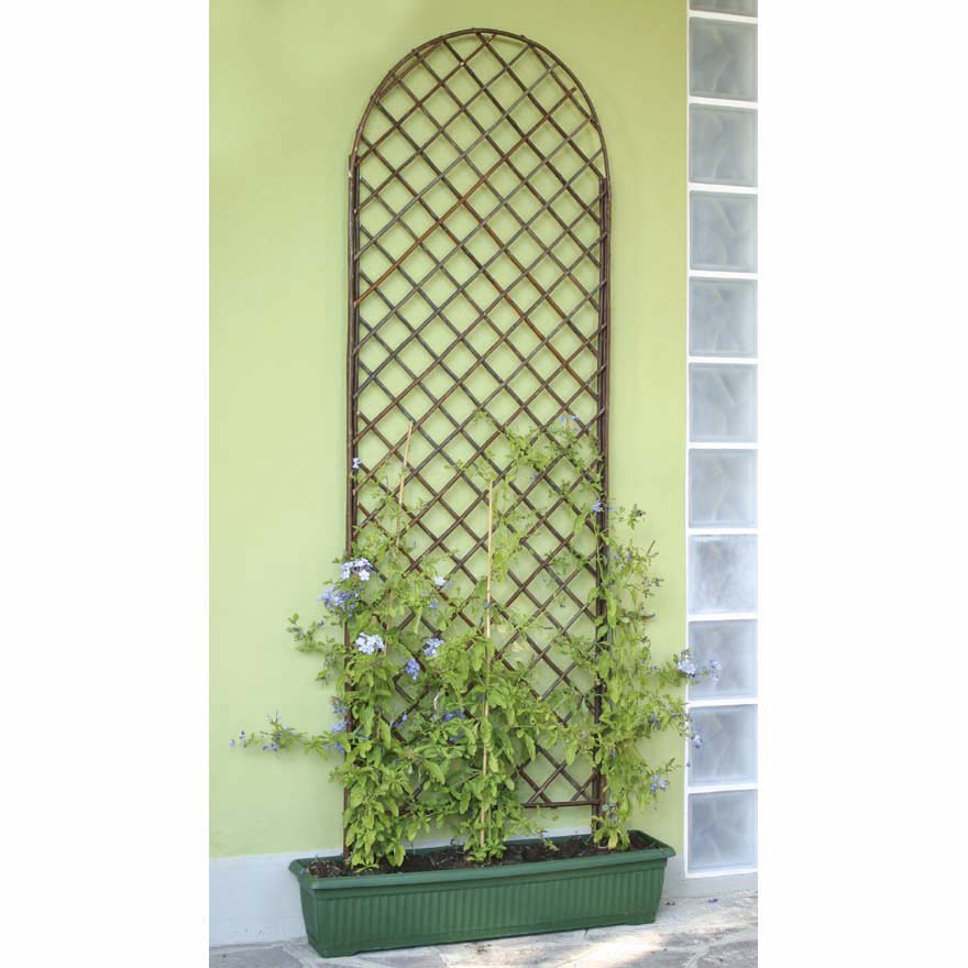 TRALICCIO ARCO IN SALICE NATURALE 150X60CM