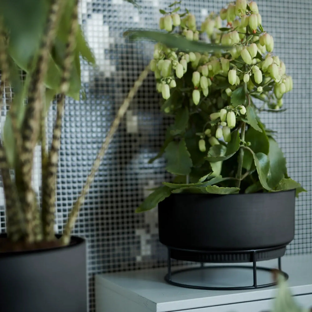 FIORIERA RIALZATA B.FOR STUDIO BOWL 30CM LIVING BLACK