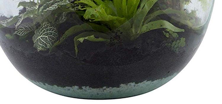 CARBONE ATTIVO 100 GR PER ECOSISTEMA TERRARIUM