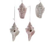 CONCHIGLIA NATALIZIA APPENDIBILE ASSORTITA