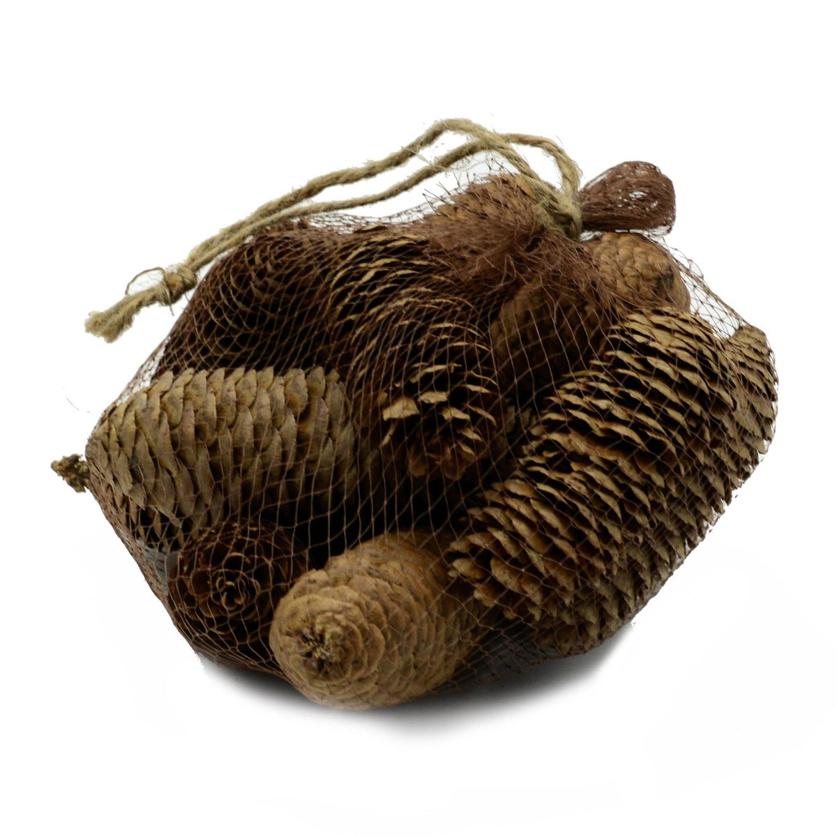 SACCHETTO CON 24 PIGNE NATURALI