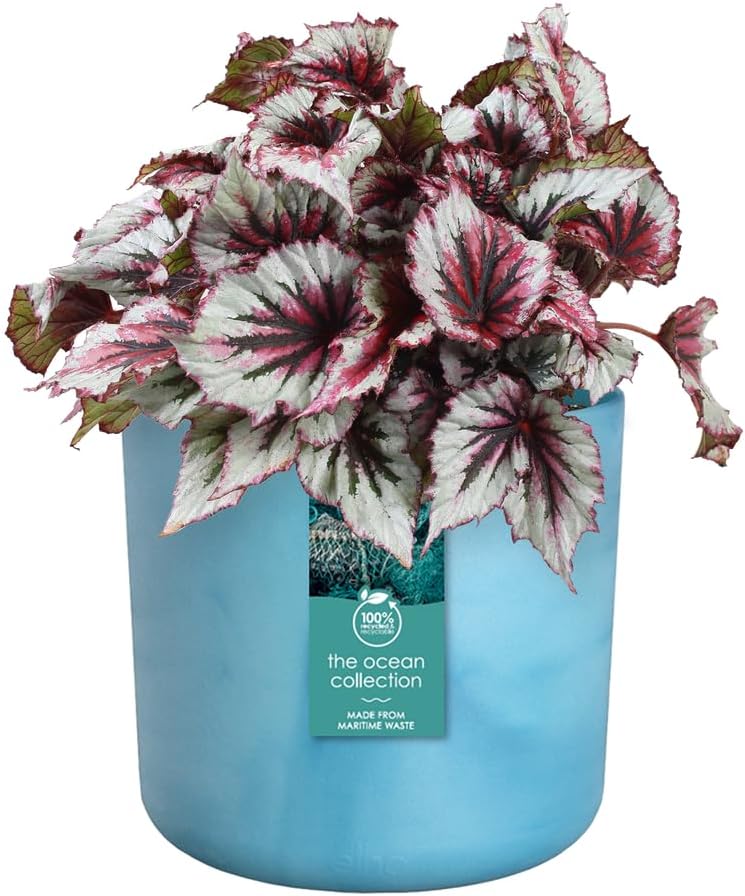 VASO THE OCEAN COLLECTION ROUND 14CM BLU ATLANTICO
