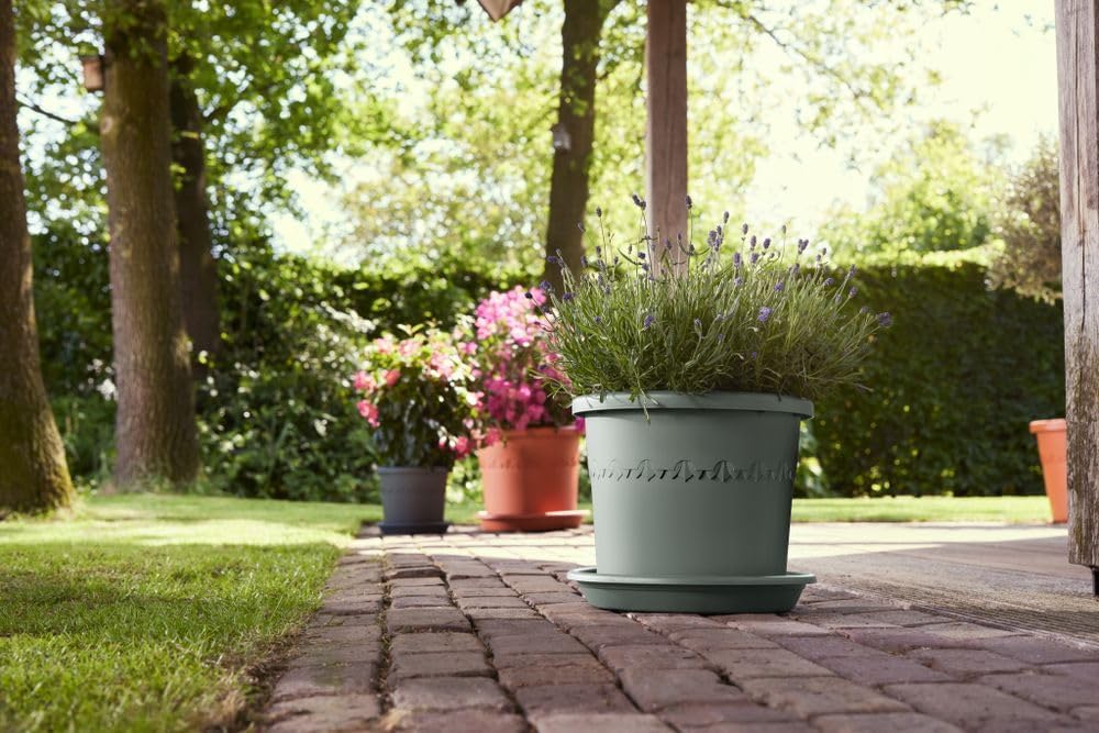 VASO ALGARVE CILINDRO 58CM VERDE TIMO