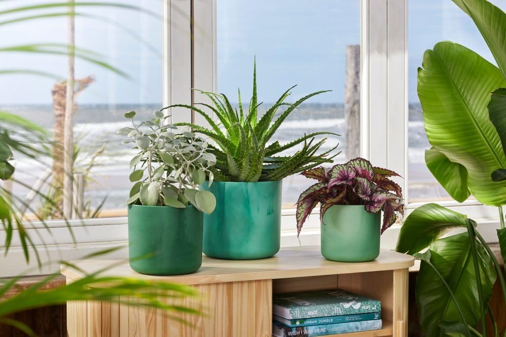 VASO THE OCEAN COLLECTION ROUND 14CM VERDE PACIFICO