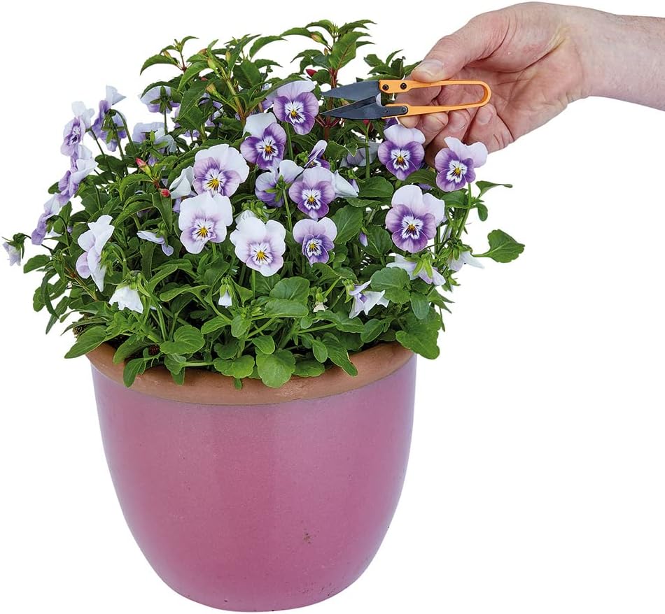 FORBICI PICCOLE PER GIARDINAGGIO - ZAC