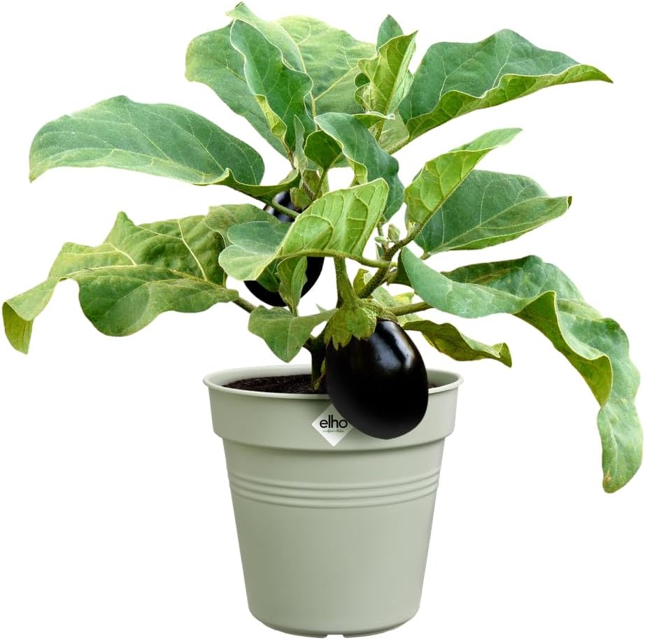 VASO GREEN BASICS GROWPOT 35CM VERDE PIETRA