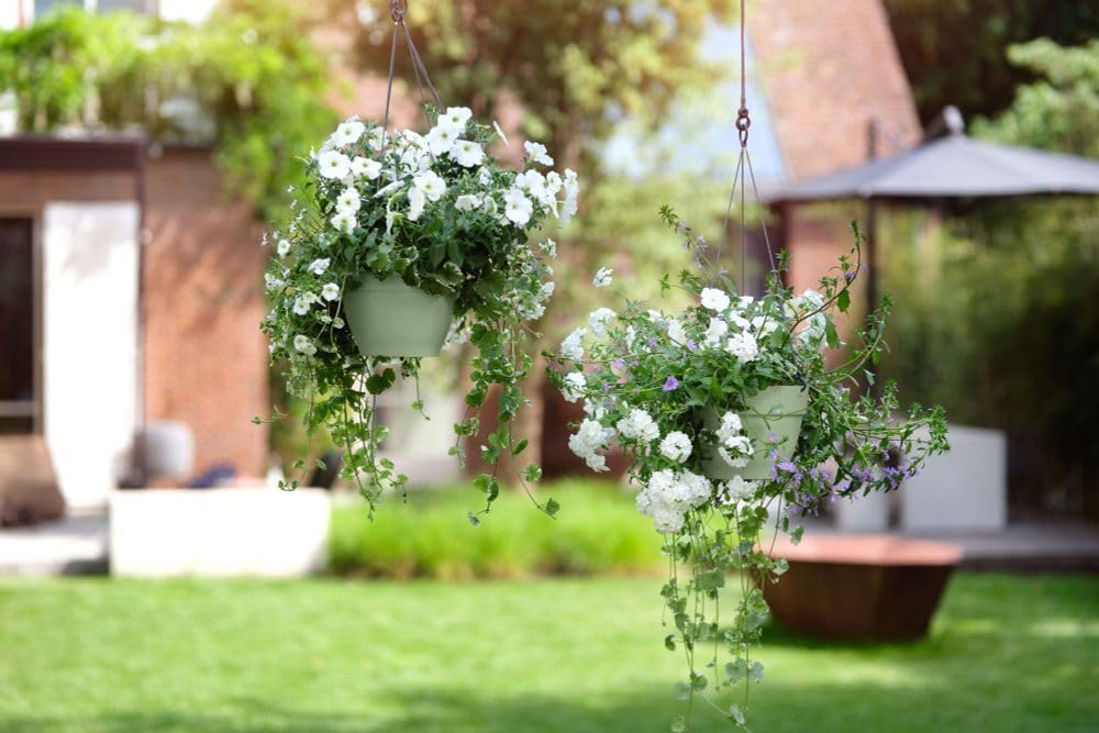 VASO VIBIA CAMPANA HANGING BASKET 26CM VERDE PISTACCHIO