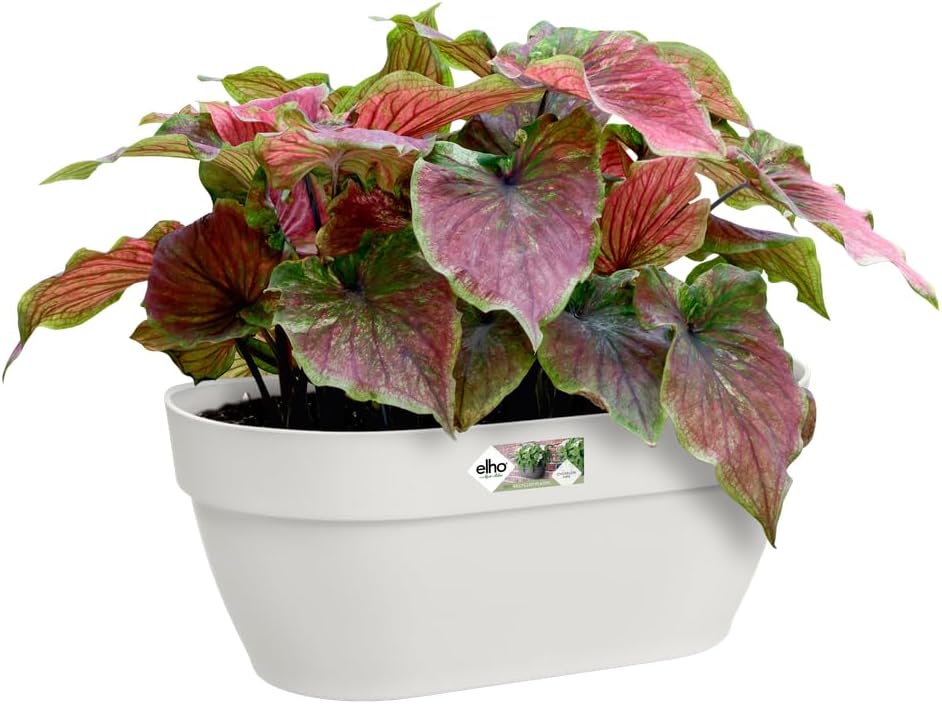 VASO VIBIA CAMPANA WALL BASKET SILKY WHITE 35CM