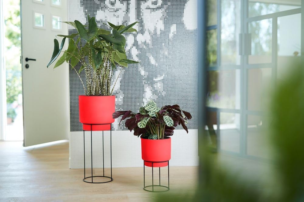 FIORIERA RIALZATA B.FOR STUDIO ROUND 30CM BRILLIANT RED