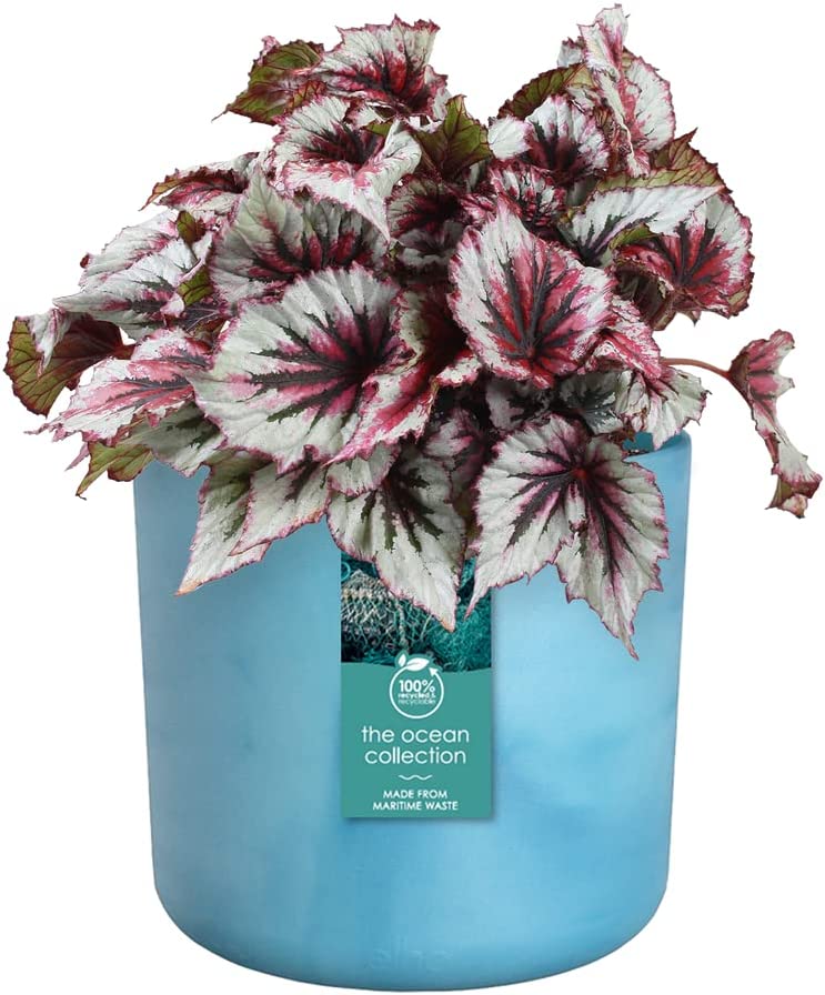 VASO THE OCEAN COLLECTION ROUND 22CM BLU ATLANTICO