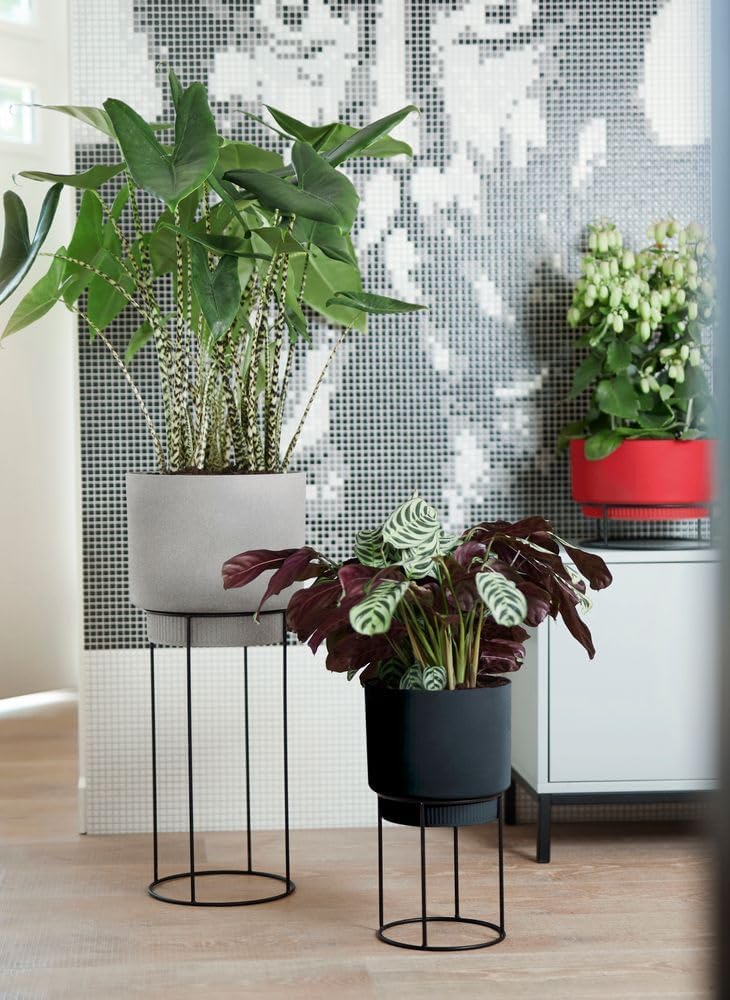 FIORIERA RIALZATA B.FOR STUDIO BOWL 30CM BRILLIANT RED