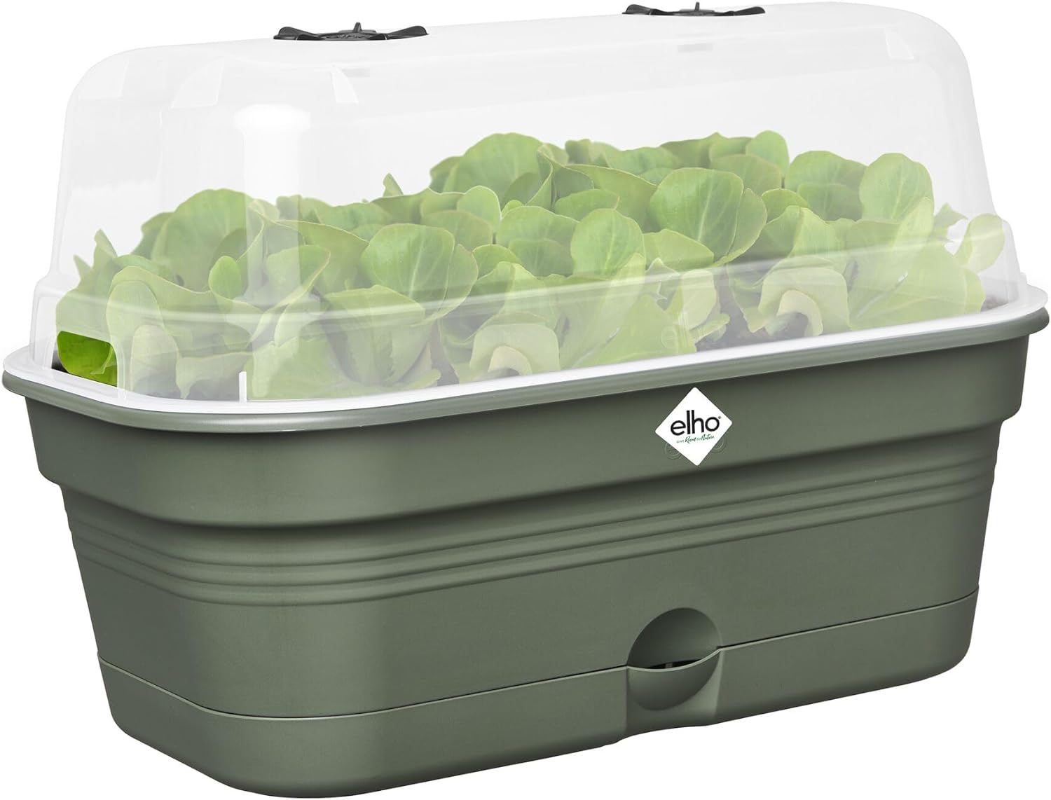 FIORIERA MINI-SERRA COPERTA GREEN BASICS GROW TRAY ALLIN1 L LEAF GREEN
