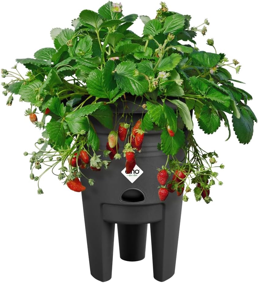 VASO DA COLTIVAZIONE RIALZATO GREEN BASICS STRAWBERRY POT 33CM LIVING BLACK