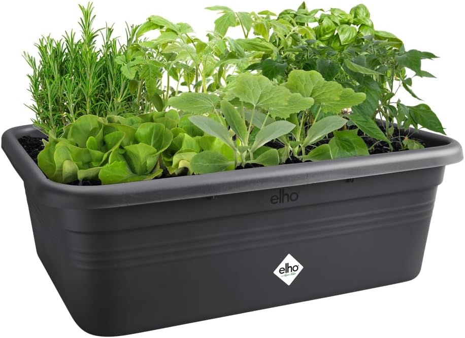 FIORIERA MINI-SERRA GREEN BASICS GROW GARDEN L LIVING BLACK