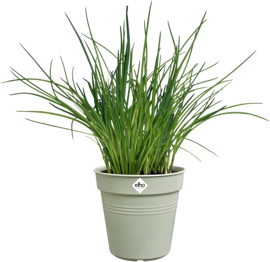 VASO GREEN BASICS GROWPOT 24CM VERDE PIETRA