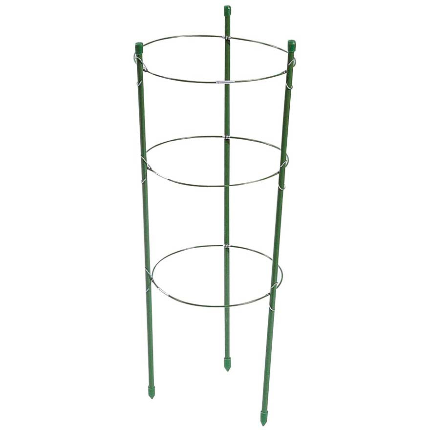 TUTORE CON CERCHI H. 60 CM