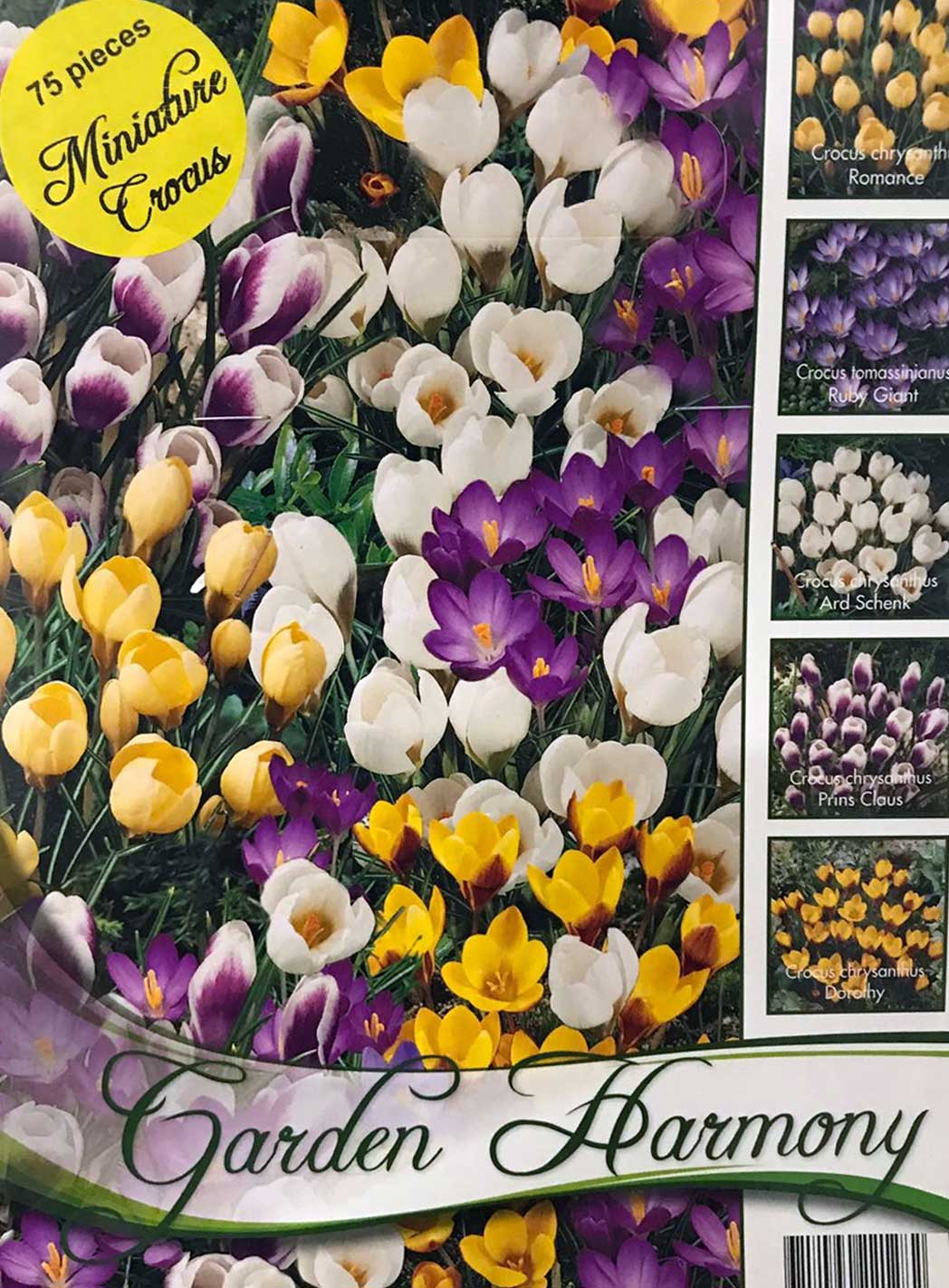 COLLEZIONE DI 75 BULBI CROCUS BOTANICI IN MIX