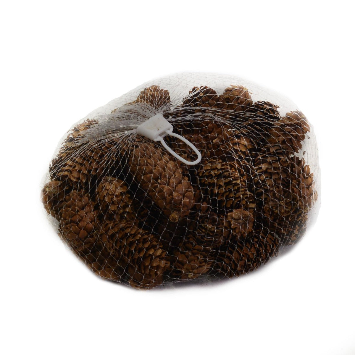 SACCHETTO CON 50 PIGNE NATURALI